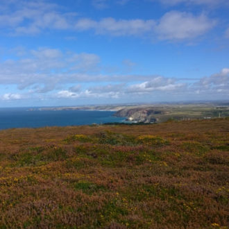 Cornish Coast