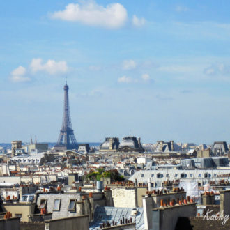 Paris sky line